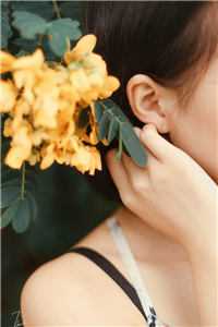 高考状元死亡诅咒：+后续+结局免费完结版免费阅读完整版txt在线阅读