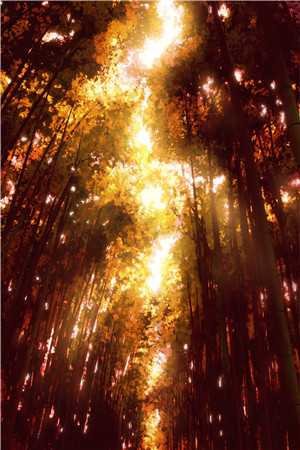 全班上线985后，要我押题的同学悔哭了郝甜甜姜舒悦最新小说免费阅读