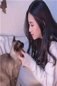 重生到填写高考志愿前，我不再阻止同学去酒吧梁梦贺锦川全文免费大结局阅读全集在线阅读小说