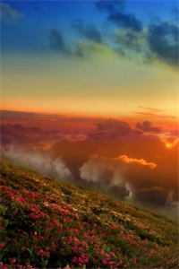 梦断不成归阮念初骆淮景全文阅读下载百度云免费小说