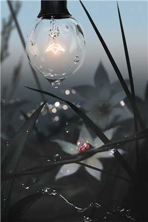 倪雾裴淮聿：七年后重逢，高岭之花跪求当情夫倪雾裴淮聿完整版免费在线阅读完结版免费阅读