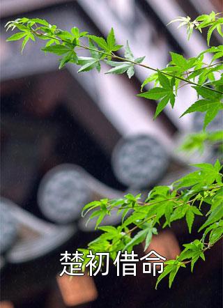 为你奔赴而来优质全文