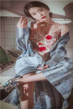 千帆过尽，不坠青云陆晚晴苏景辰全文免费阅读无弹窗大结局