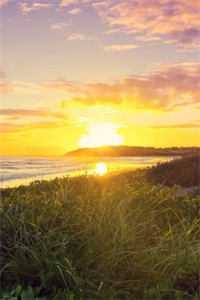 七零：开局嫁个凶糙汉，娇娇有福了时挽意陆新成小说全文免费阅读txt在线阅读