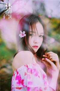 心似已灰之木许鹿傅深免费阅读完整版在线