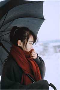 天丹圣骨白婧任天一全本免费在线阅读