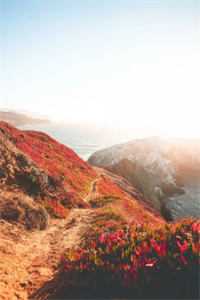 流光错系断蓬之舟：+后续+结局沈煜谢晚烟完整版txt在线阅读